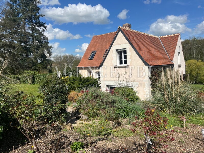 614 TBI DEMEURE EN TOURAINE PROCHE TOURS