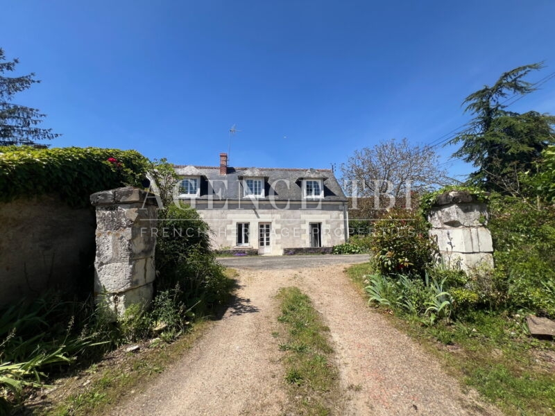 390 TBI LONGERE EN TOURAINE PROCHE DE TOURS