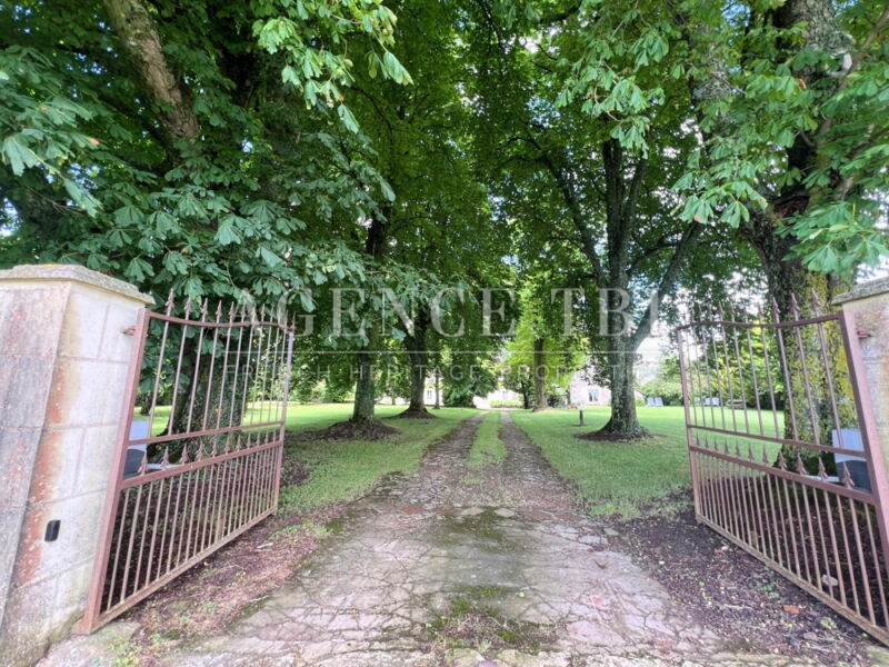 518 TBI BELLE DEMEURE EN TOURAINE CHATEAU CHENONCEAU