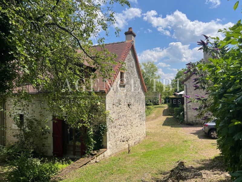 471 TBI DEMEURE EN TOURAINE AVEC VUE